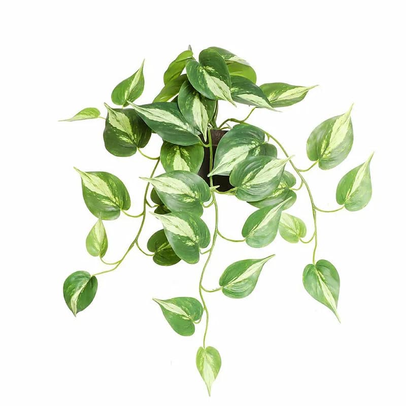 50CM piante appese verdi artificiali 3D finto Rattan decorazioni floreali in plastica Hotel Party Home Decor accessori puntelli fotografici