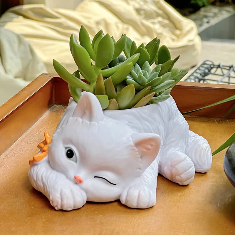Nice cat succulent flower pot balcony green plants living room house office desktop pot decoration house