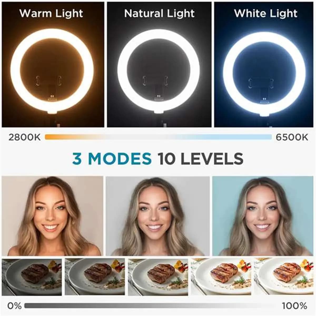 DT81 Overhead Phone Mount with Ring Light, 10" LED Selfie Ring Light for Desk with Phone Holder and Remote Canvas Lamp