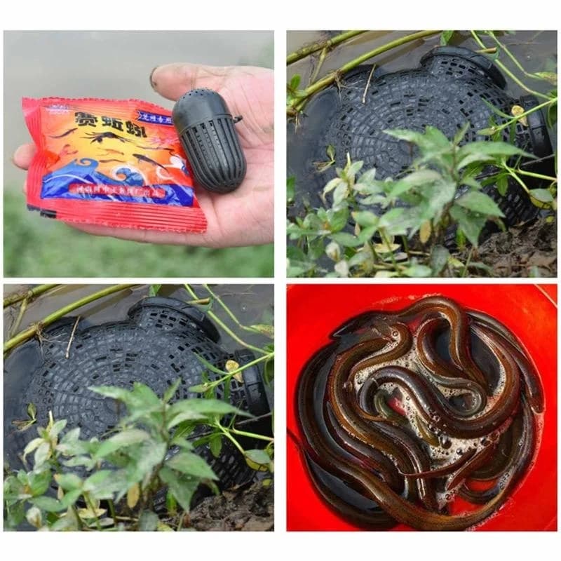 K0EF Cestino da pesca Gabbia per lancio a mano Monopterus Albus- Cestino Cestino per frutti mare in plastica