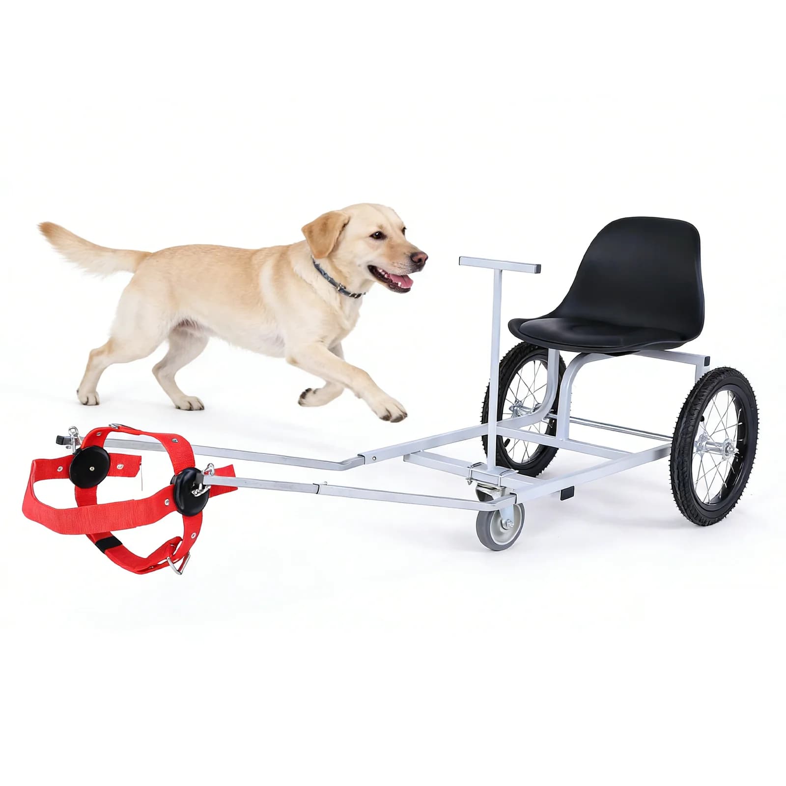 Carrello trainabile per cani con braccioli e guinzaglio, leggero, per Golden Retriever e cani di razza mista