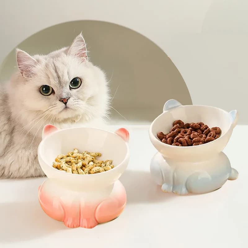 Ciotola per gatti in ceramica Ciotola per cibo sfumato per animali domestici Bacino per cibo per gatti Ciotola per cibo per cani Ciotola per bere anti-ribaltamento Alimentatore per gatti Prodotti per animali domestici