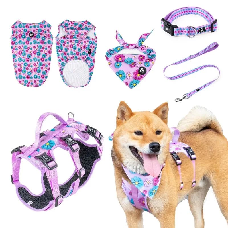 5pcs Per Set Pet Supplies Set Pet Harness Leash Collar Bib Dog Clothes