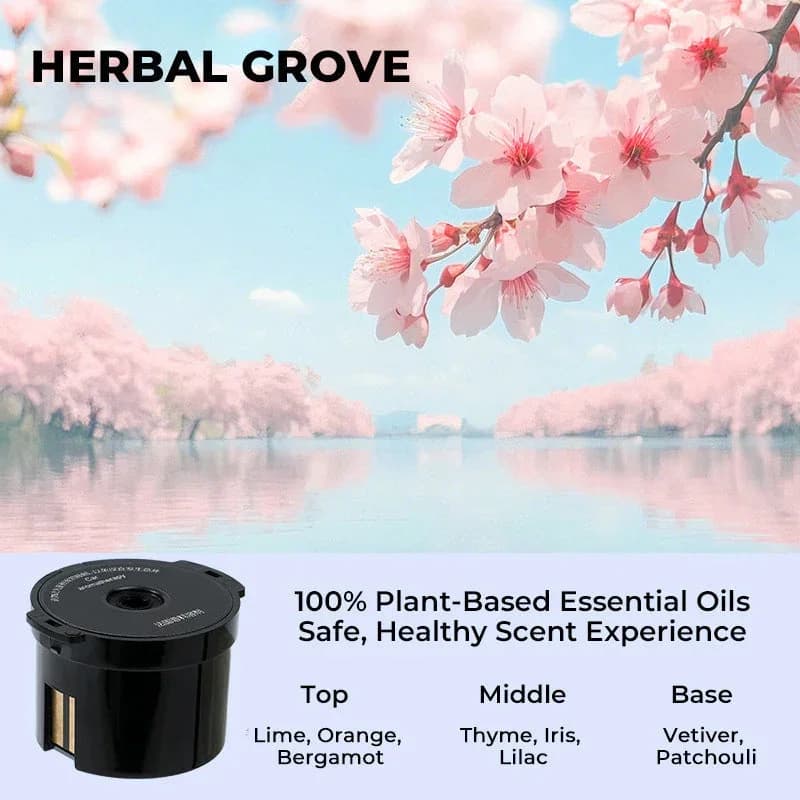 2025 Aromatherapy supplement for car deodorant Cloud Mist