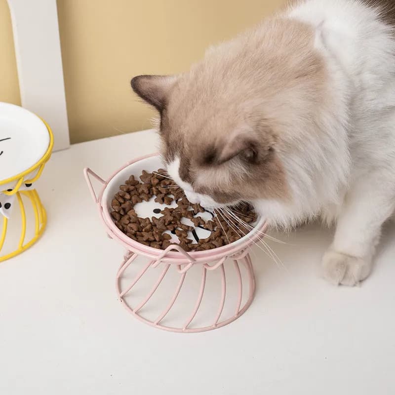 Nuova ciotola per animali domestici in ceramica Alimentazione per gatti Piatto doppio Supporto rialzato in acciaio inossidabile Alimentatore per acqua per cani per gattini Accessori durevoli per animali domestici