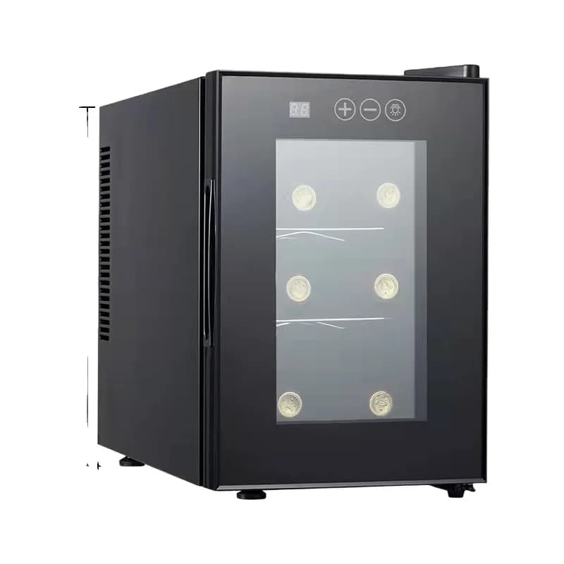 Frigorifero per Vini Compatto in Acciaio Inox con Porta in Vetro - Capacità 6/8/12 Bottiglie, Refrigeratore per Bevande RV