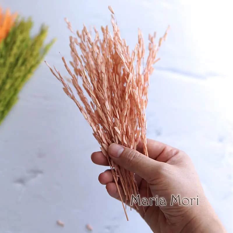 5g/Broomcorn Dyed Dried Nature Flowers Bleached Handmade DIY Materials Resin Epoxy Glue Aromatherapy Candles Flowers