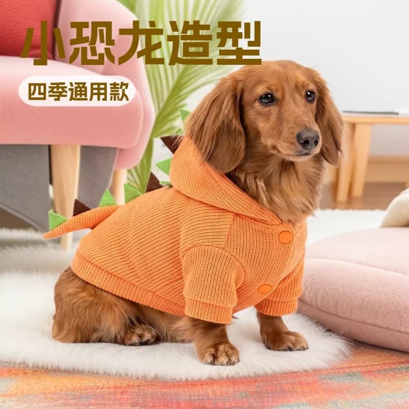 Spot pet clothing pet puppy cat clothes spring and autumn two-legged dinosaur sweater jacket