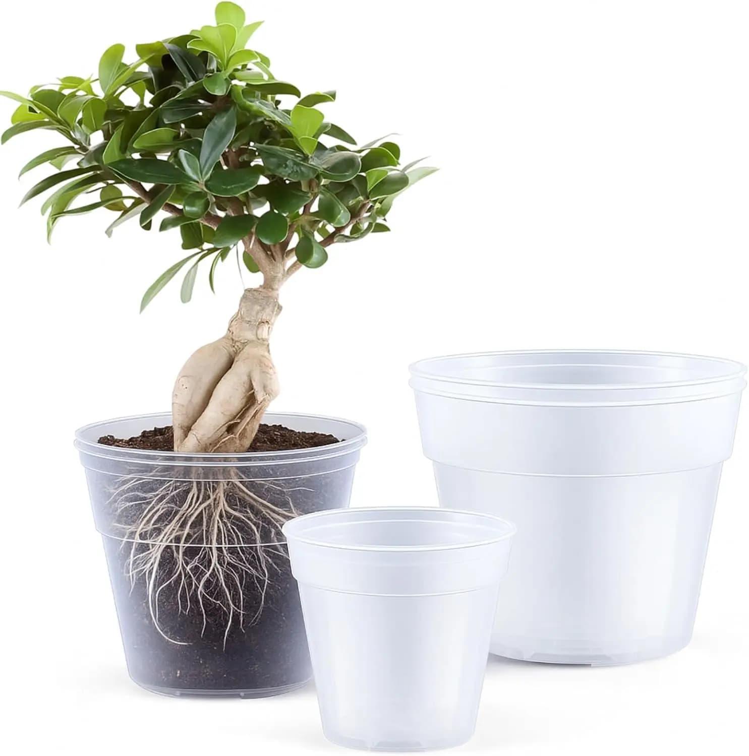 Pack of 6 vases for transparent plastic plants with drainage holes, size 8/10/12 inches for oily plants and indoor plants