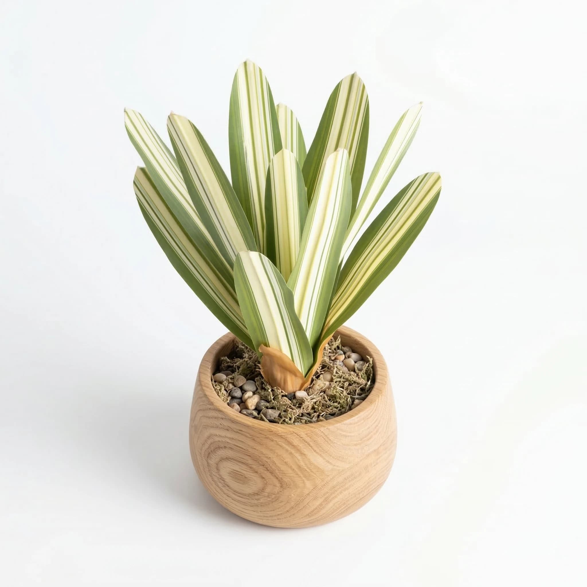 Realistic artificial bromeliad plant, without watering, easy to cure, faux tropical flower folding for home decorations and office, interior foliage
