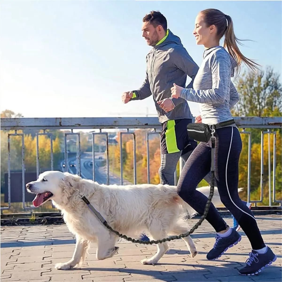 Marsupio sportivo multifunzionale Guinzaglio esteso a mano libera regolabile per passeggiate e guinzaglio per cani