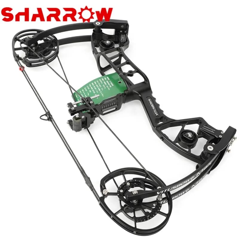 Archery 30-80lbs Dual-use Compound Bow Shooting Arrow Steel Ball High Speed 340/465FPS Pulley Bow for L/R Hand Hunting Target