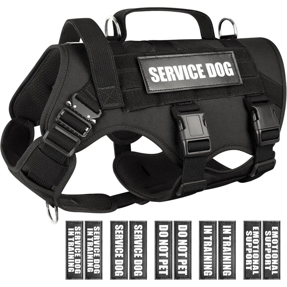 Gilet Tattico MOLLE Grande per Cani con 10 Patch, Imbracatura Resistente Anti-Trazione per Addestramento e Passeggio