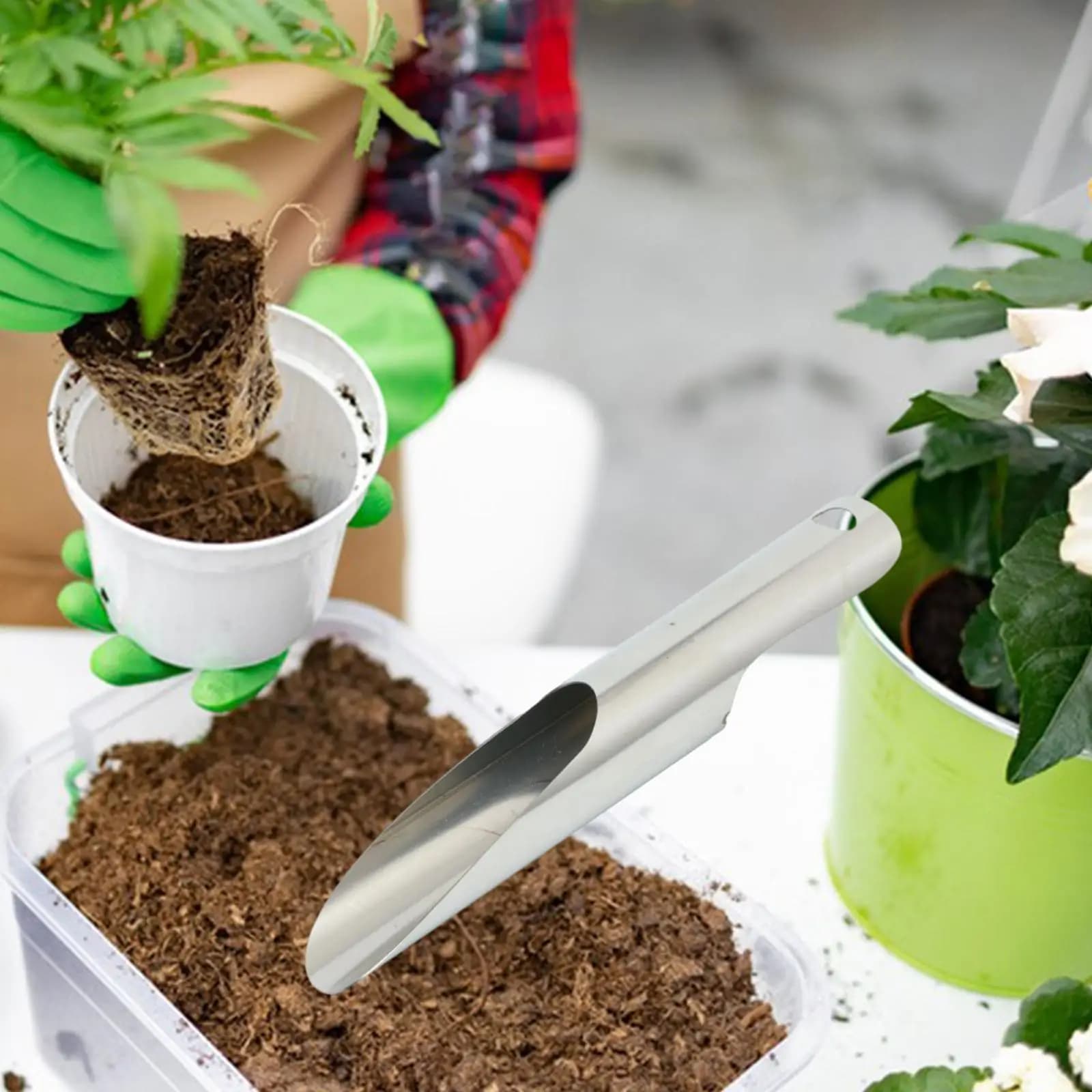 Pala Rotonda per Giardinaggio, Attrezzo Manuale per Coltivazione, Posa Piante, Scavo, Innaffiatura e Applicazione Fertilizzanti