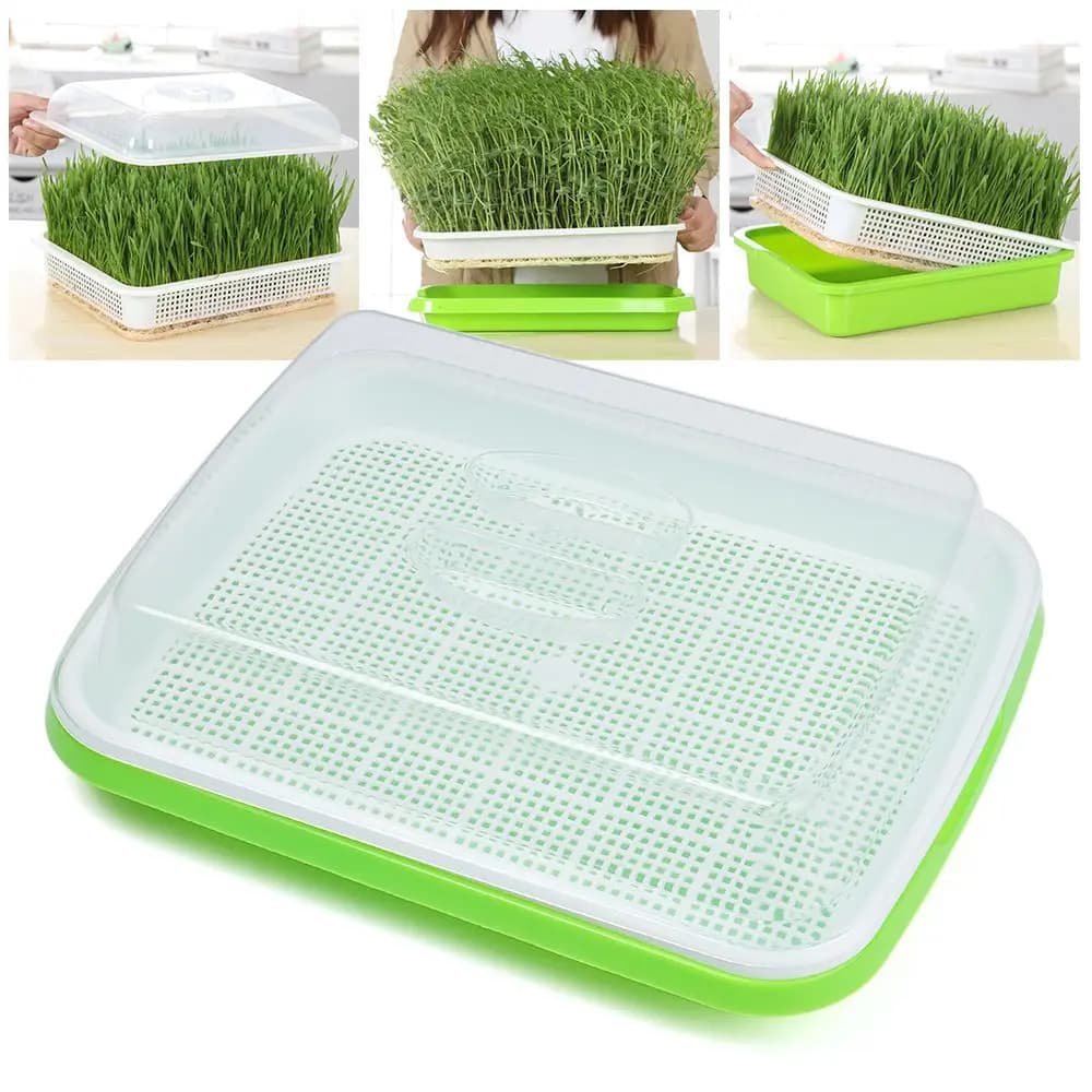 Indoor and Outdoor Cultivation Paper Hydroponic Tray, Seed Vase, Plant Container, Semi Germination Tray, Germage Tray