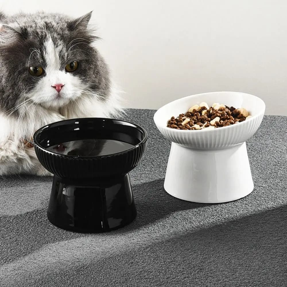 Ceramic Cat Bowl Slanted/Flat Mouth Creative Dog Food Feeding Basin Non-slip Anti Tipping Pet Drinking Feeder Kitten Puppy