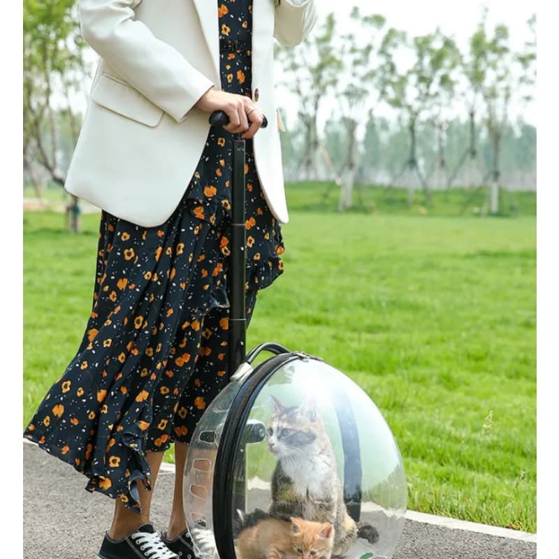 Transparent Rolling Pet Carrier Trolley Case Large Capacity Space‑capsule‑style Travel Box for Cats and Small Dogs
