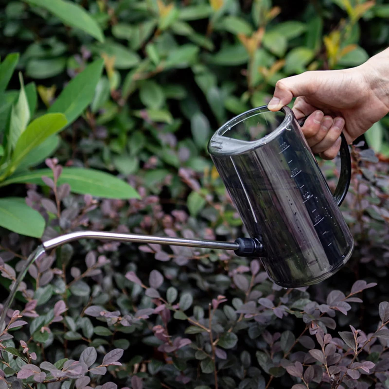 Annaffiatoio con Beccuccio Lungo per Piante da Interno, Strumento di Irrigazione di Precisione Trasparente per Piante Grasse in Vaso