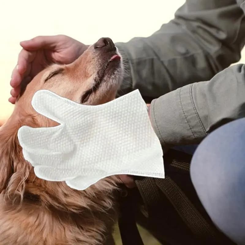 Guanti per la pulizia degli animali domestici per cani Comodi 5 paia Senza risciacquo Salviette per la toelettatura dei cani Guanti per il lavaggio Delicato Scrubber per cuccioli Lavaggio dei gattini