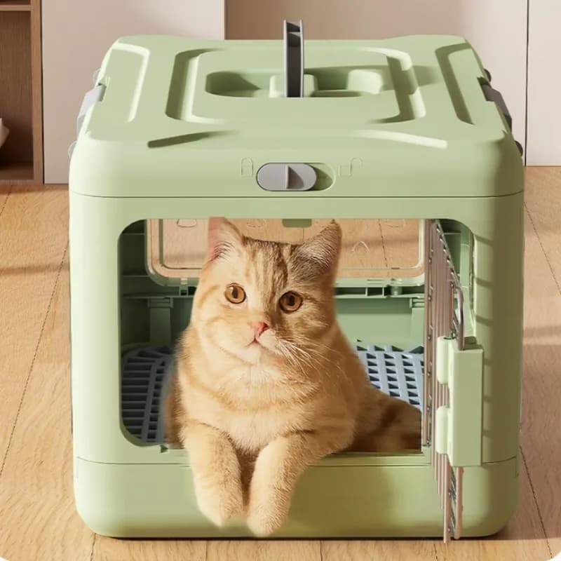Trasportino Pieghevole per Gatti, Gabbia da Viaggio Spaziosa con Porta per Uso Interno ed Esterno, Cuccia per Gatti Pratica