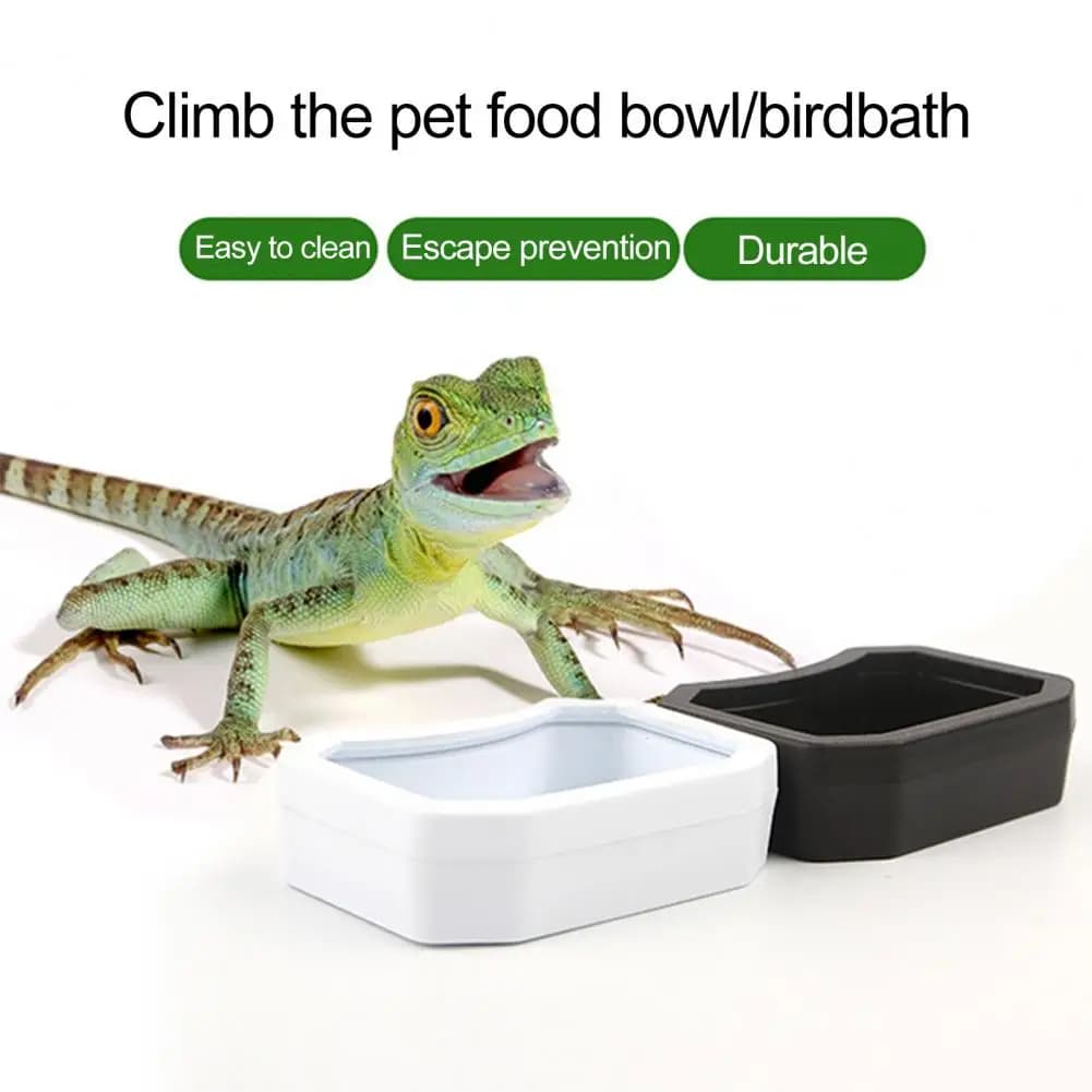7.1*5cm rettile Water Bowl plastica Food Grade Water Box Feeder rettile Food Water Dish Pet Aquarium Ornament Fish Tank Decor