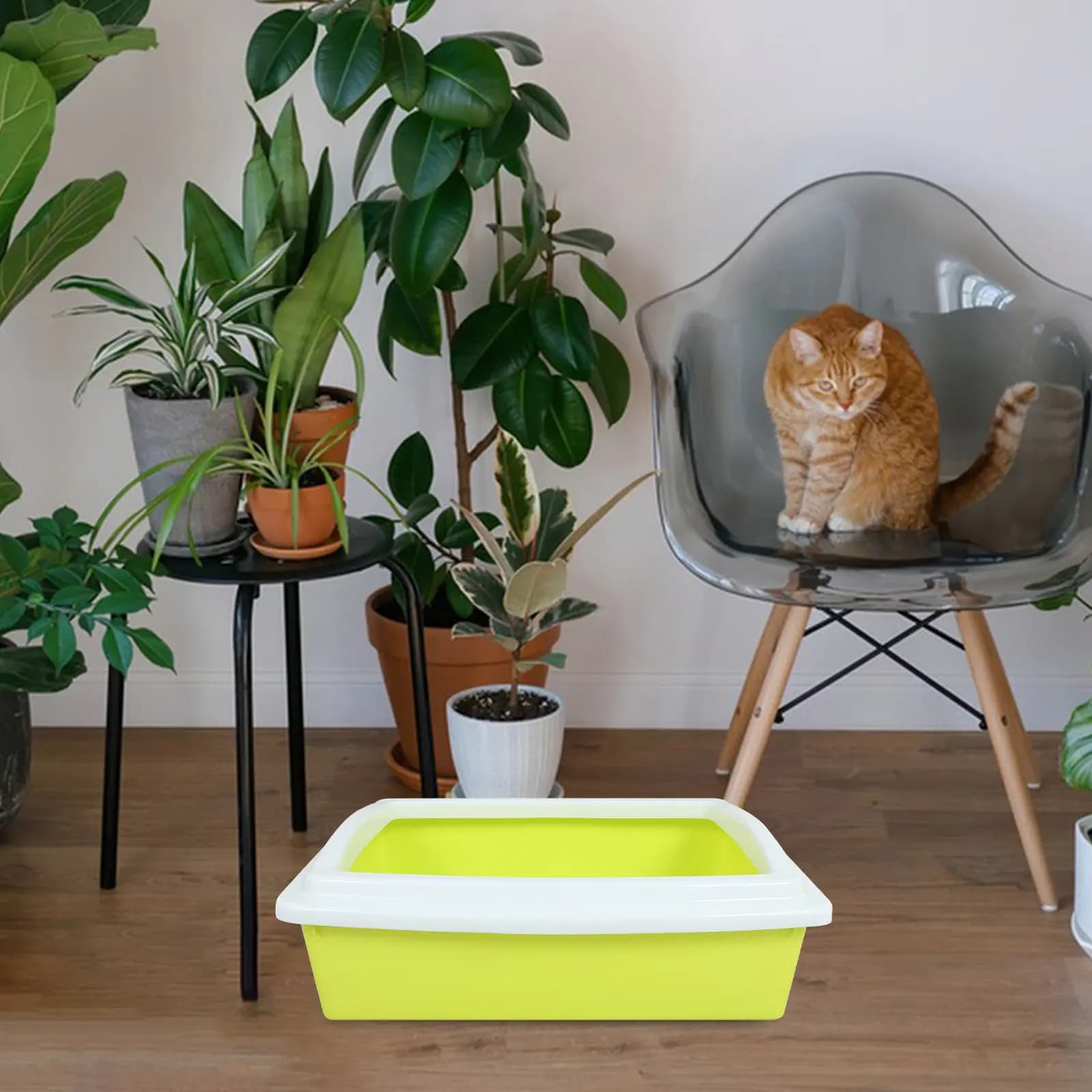 Lettiera per Gatti Semi-Chiusa, Vaschetta Igienica in Plastica Anti-Schizzi, Vassoio per Gatti a Basso Ingresso Facile da Pulire, Lettiera Antiaderente per Gattini