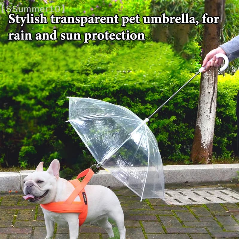 【SSummer10】Nuovo Guinzaglio Ombrello per Animali Domestici, Impermeabile e Antineve, per Cani di Piccola Taglia, Regolabile【SS】