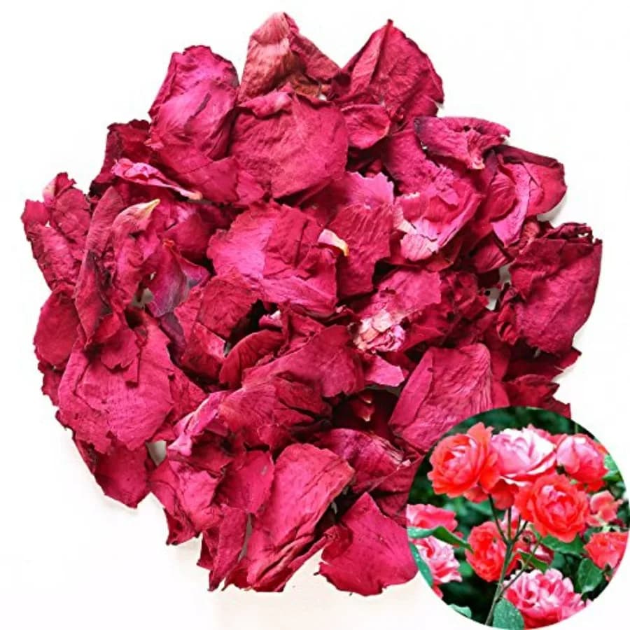 Natural Dried Rose Petals Herbal Tea and Baking Ingredients Wedding and Party Decor Bath, Body and Foot Wash Crafting and Potpo