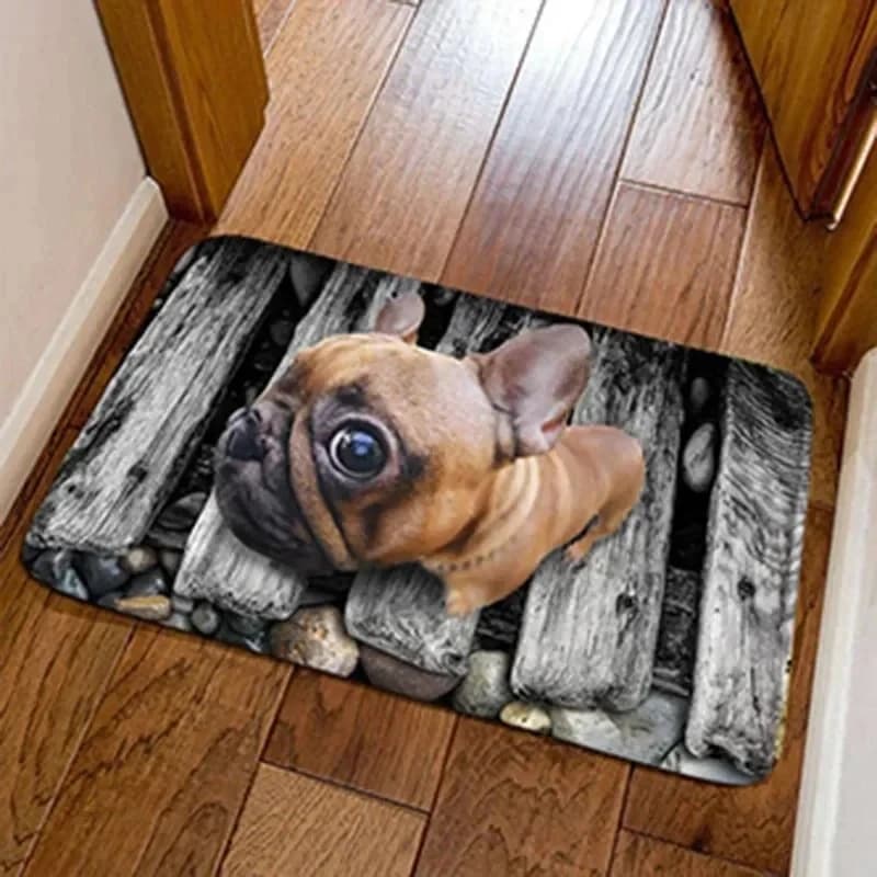 Simpatico modello carlino tappetino bagno assorbente camera da letto porta di casa tappetino cucina balcone soggiorno ingresso decorazione tappeto