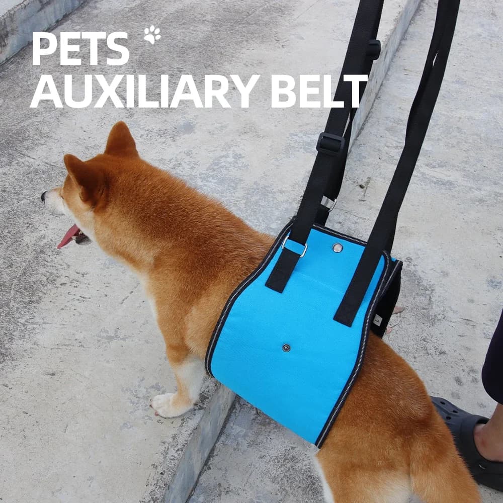 Guinzaglio per cani disabili, cani anziani, imbracatura di supporto per la schiena, imbracatura di supporto per la schiena per animali domestici stile pull-up