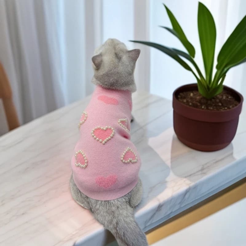 Autunno Inverno Love Pearl Maglione Cane Felpa con cappuccio lavorata a maglia Top Orso confezionato Schnauzer Vestiti di piccole e medie dimensioni Vestiti per cuccioli