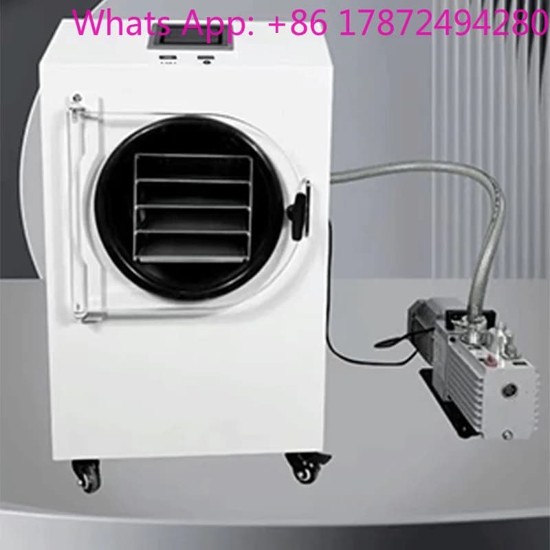 Essiccatore per Frutta e Verdura Sottovuoto HFD-1/HFD-4, Mini Liofilizzatore per Alimenti