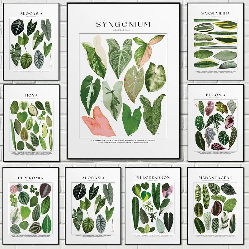 Classic Minimalist Plant Art Tropical Plants Houseplants Posters Prints Canvas Painting Wall Art Picture Living Room Home Dec