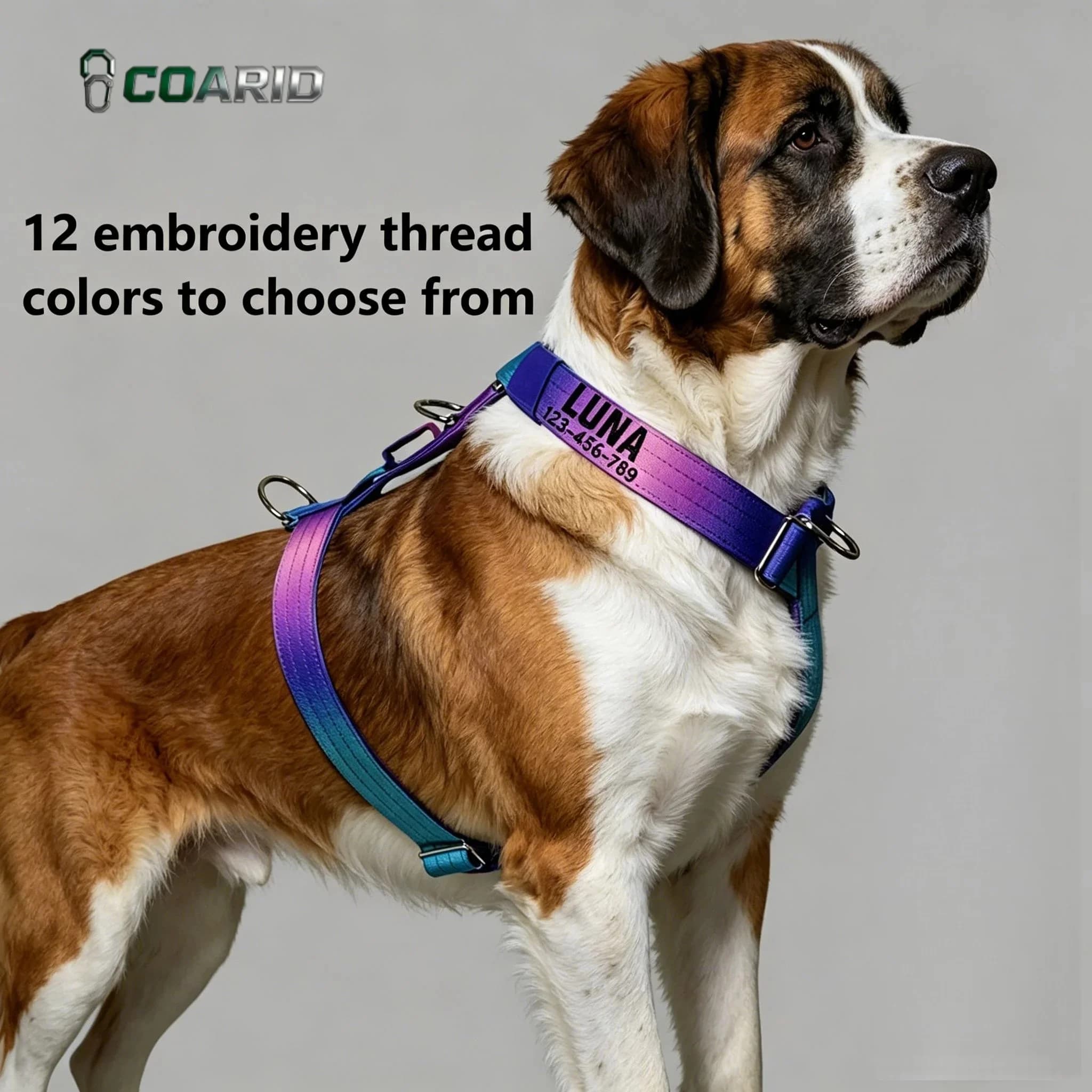 Personalized Embroidered No-Pull Reflective Dog Harness, Adjustable Nylon Chest Vest with Name and Phone for Medium and Large Do
