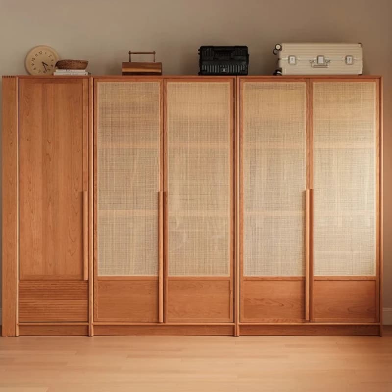 Armadi deumidificatore impilabili Interni in rattan Grande scaffale Armadio portaoggetti Organizzatore Vestiti Ragazze Armario De Ropa Mobili