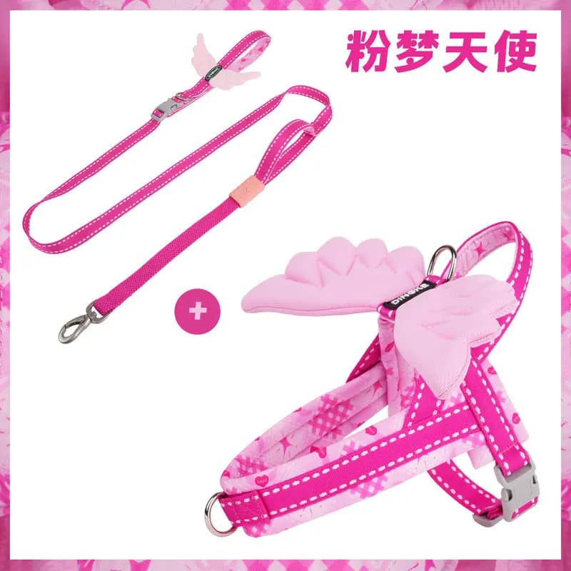 No Pull Escape Proof 3D Wings Pet Harness Leash Set Soft Padded Adjustable Dog Cat Chest Harness for Small Medium Puppy Walking