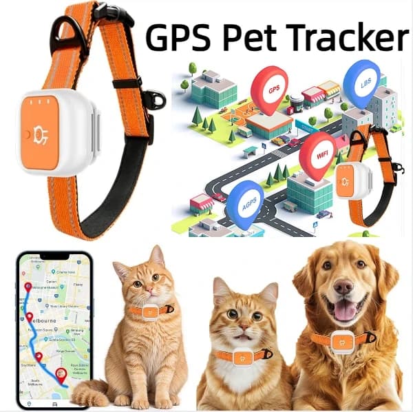 Collare localizzatore GPS per cani/gatti con dispositivo anti-smarrimento con copertura globale della rete 4G con avviso SOS e tecnologia Geo Fence