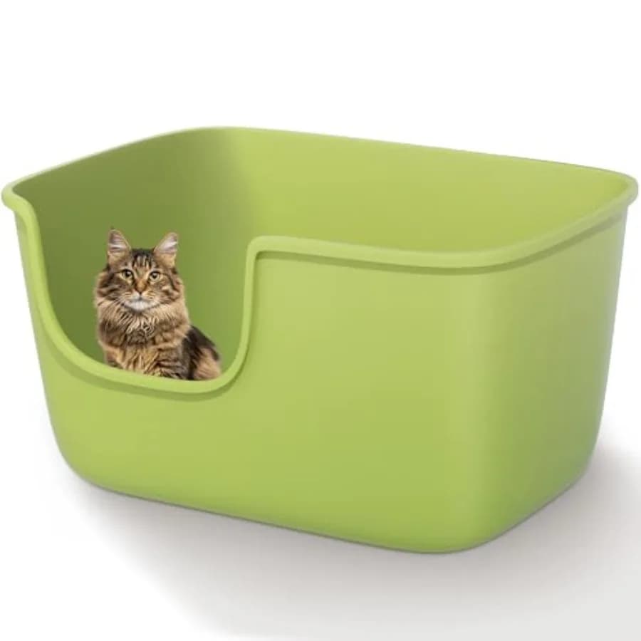 Lettiera Grande per Gatti da Interno con Bordi Alti e Ingresso Basso, 56,4 cm x 37,8 cm x 30,5 cm, Lettiere Alte e Profonde con Schienale Alto