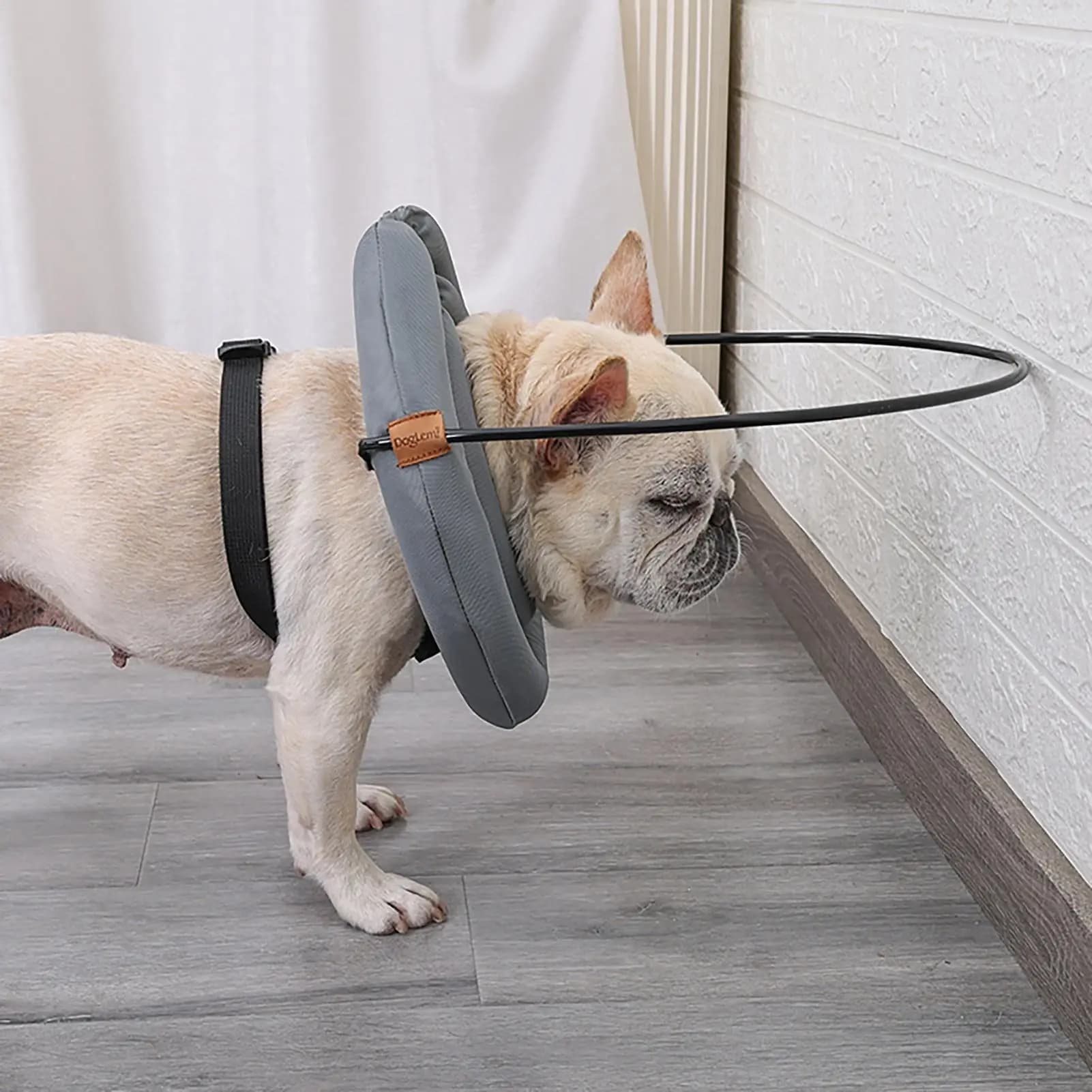 Collare per cani cieco Imbracatura di sicurezza per animali domestici Collare per dispositivo di guida riflettente regolabile Collare anti-collisione per animali domestici con problemi di vista