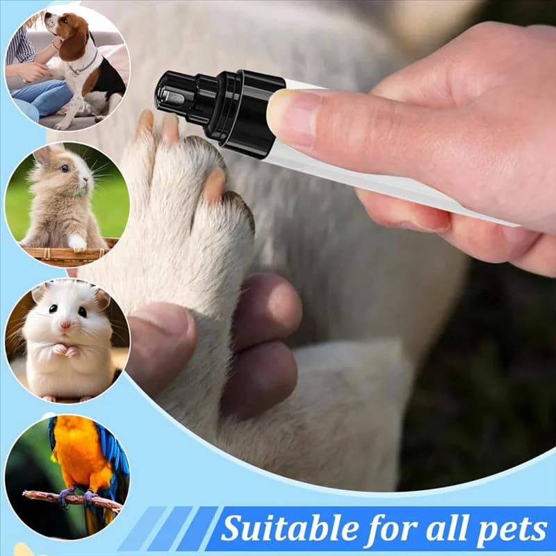 Smerigliatrice per unghie per animali domestici USB compatta e silenziosa X11A per cani, toelettatura e rifinitura efficienti