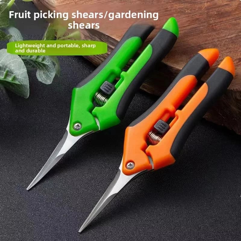 Nuove Forbici Professionali per Raccolta Frutta e Potatura - Cesoie da Giardino in Acciaio Inossidabile, Strumento Affilato per Potatura Uva, Forbici Ergonomiche