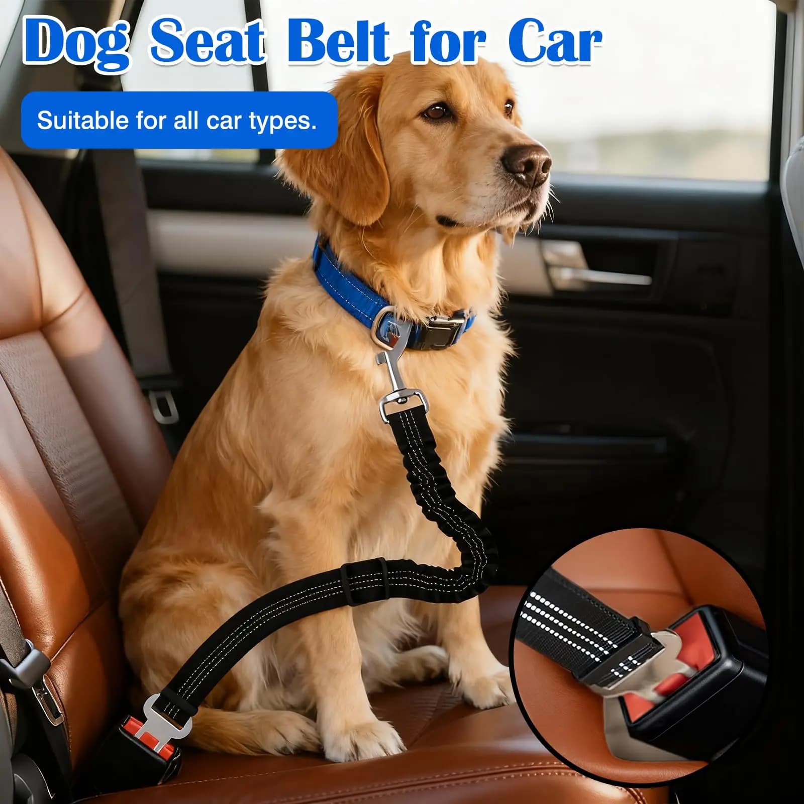 Cintura di Sicurezza per Cani di Alta Qualità con Cinghia Ammortizzante e Linea Riflettente, Lunghezza Regolabile, Adatta a Tutti i Cani, 1 Pezzo