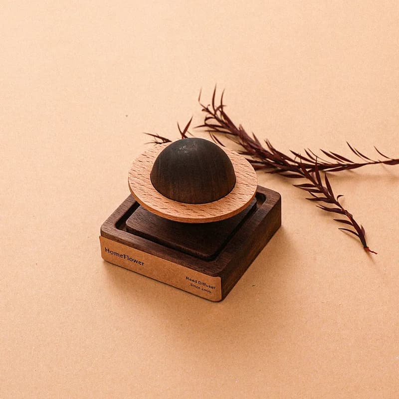 Diffusore di ance portatile per auto, olio essenziale, diffusore di fragranze di Noce Planet, aromaterapia in legno per interni, 10 ml