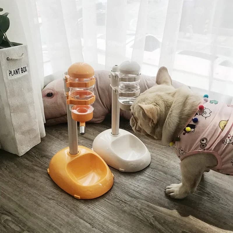 Dispenser d'Acqua e Ciotola per Animali Domestici, Altezza Regolabile, Non Bagna il Muso, Automatico, per Cuccioli e Gatti