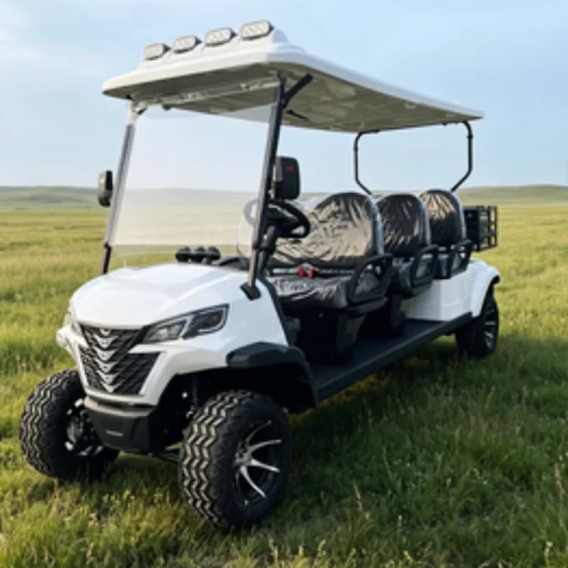 All-Terrain Cheap Sightseeing Club Off-Road Vehicle 60/72V Off-Road Electric Golf Cart With Roof LED Light Strips Rear Cargo Box