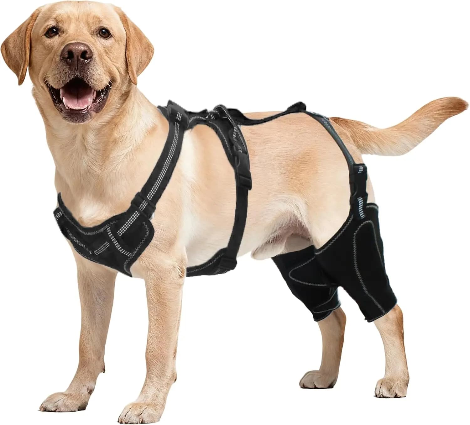 No-Pull Reflective Dog Harness with Leash, Car Travel Vest for Small Dogs, Durable Comfortable Outdoor Safety Harness