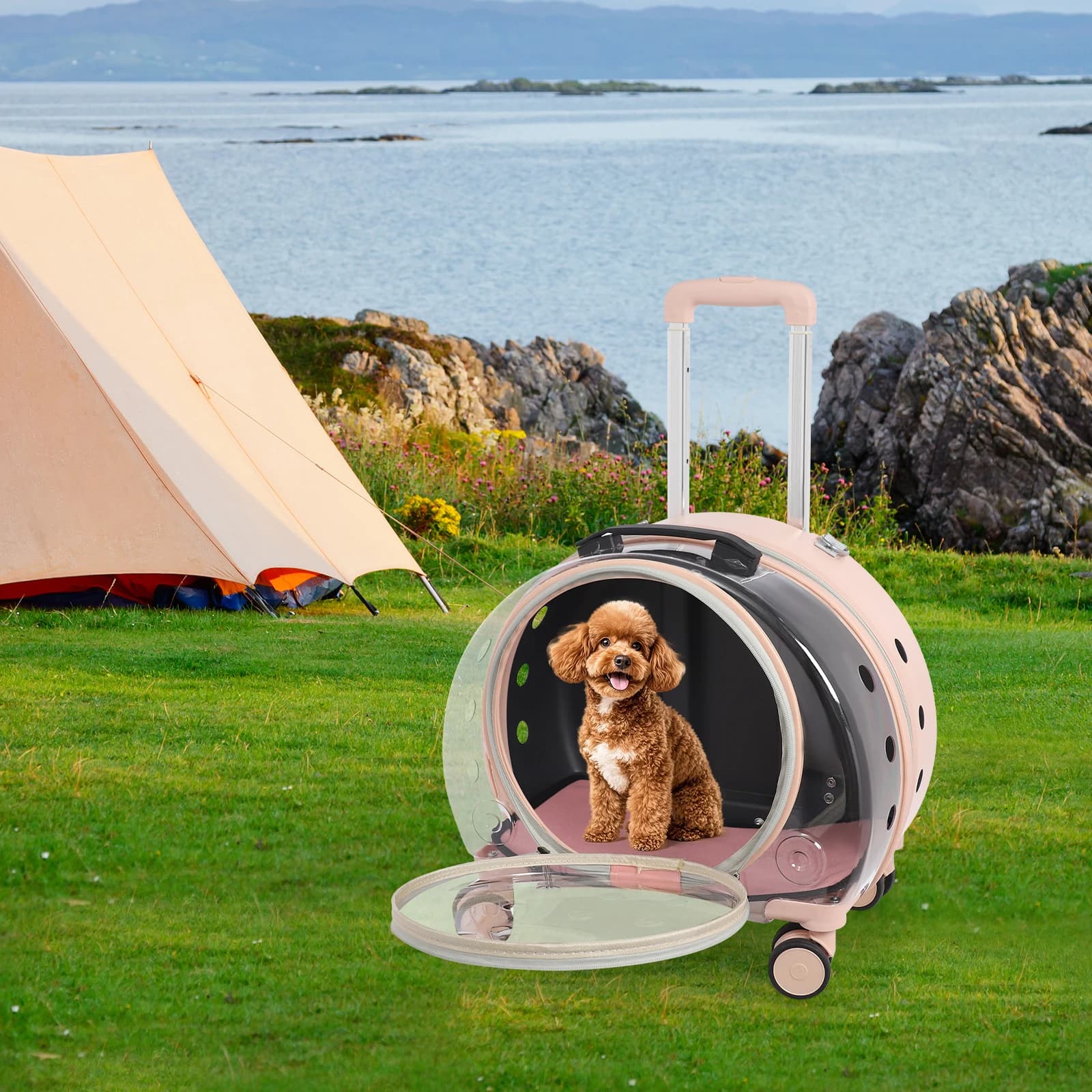 Trasportino per Animali Domestici Rosa Chiaro Trasparente, Trolley Portatile per Animali Fino a 9 kg, Valigia Resistente per il Trasporto di Animali, Carrello per Animali