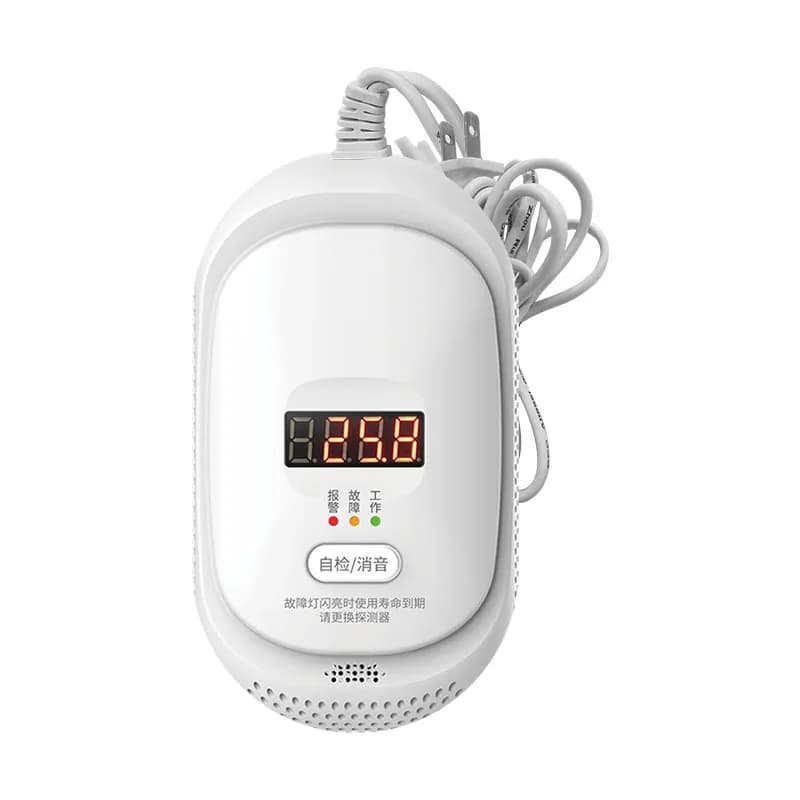 Allarme Intelligente per Casa con Controllo Remoto da Smartphone, Rilevatore di Monossido di Carbonio per Ristoranti e Cucine, Allarme per Perdite di Gas CO