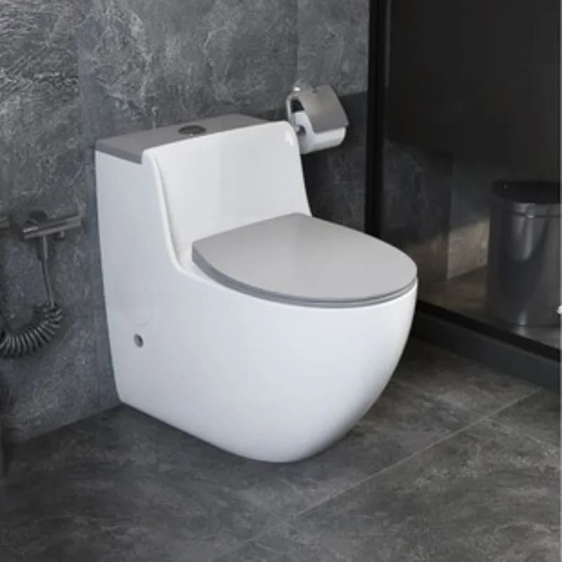 BathroomSanitary Ware Siphonic Flush Toilet Factory