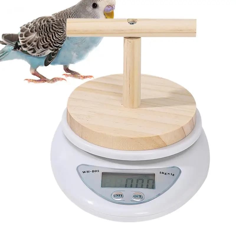 Balance for parrots Balance for small animals with perch fish for domestic birds Convenient monitoring tool for weight change for drugs Milk powder